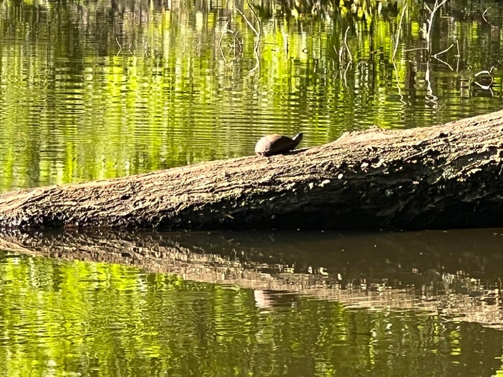 We do not live&nbsp;forever…